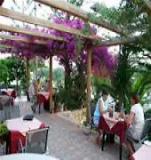 Rainbow Studios Zante-1